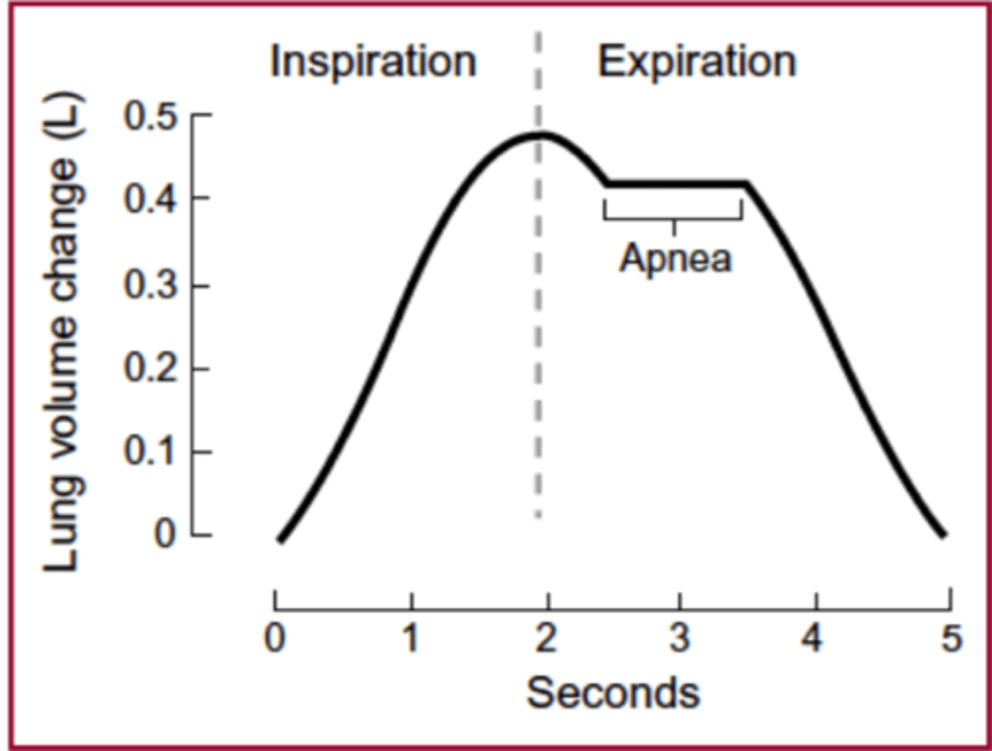 <p>Must coordinate breathing and swallowing to avoid aspiration</p><p>Usually occurs during expiratory phase</p><p>Typical pattern is expiration-swallow-expiration</p><p>Apnea (no breathing) lasts about 1 sec during Pharyngeal Transport phase</p>