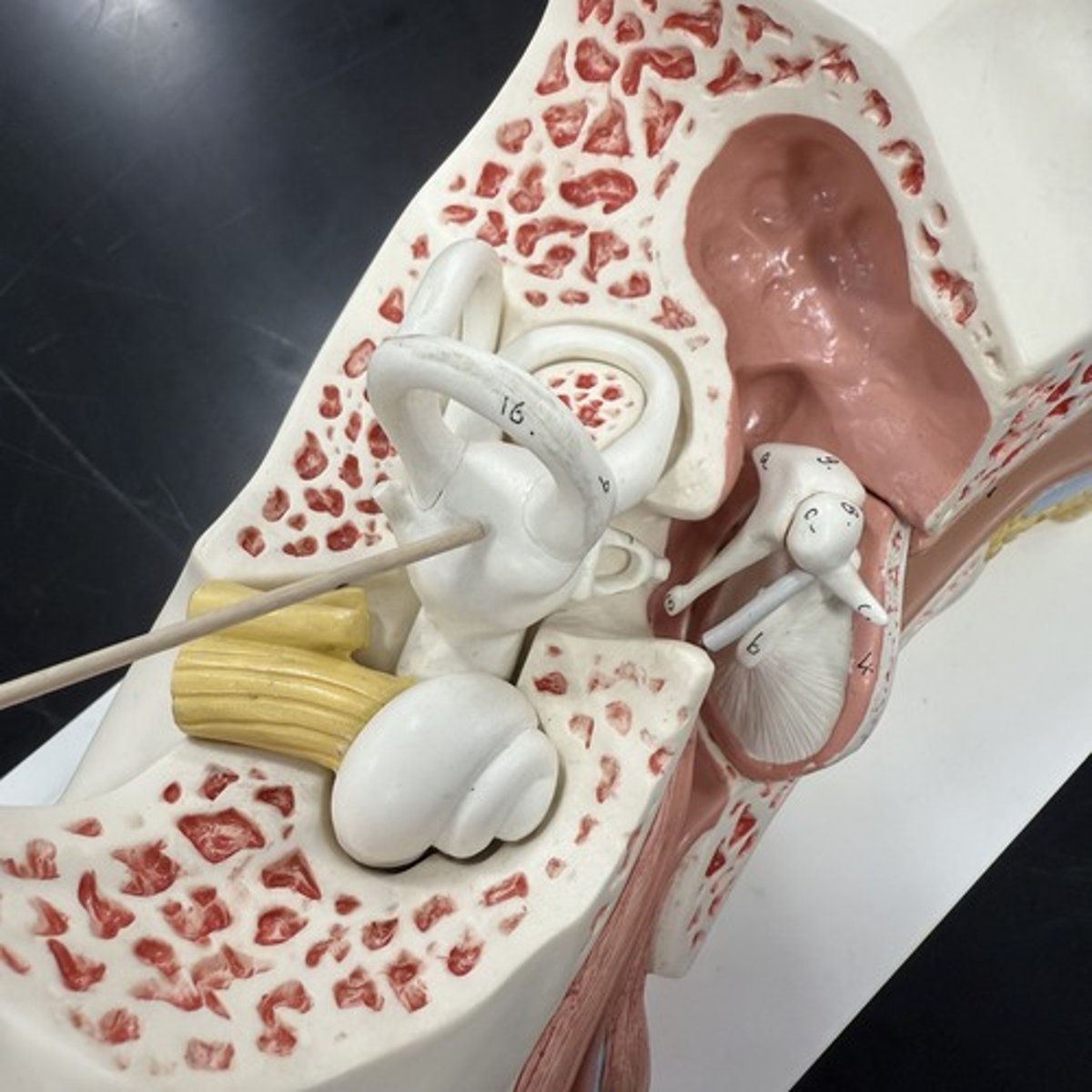 <p>What is this structure?</p>