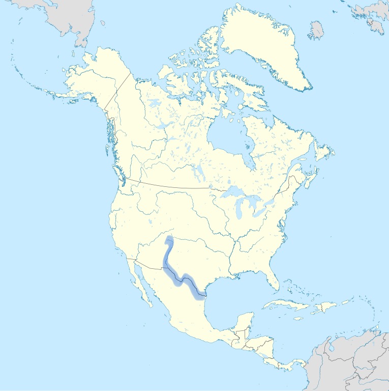 <p></p>