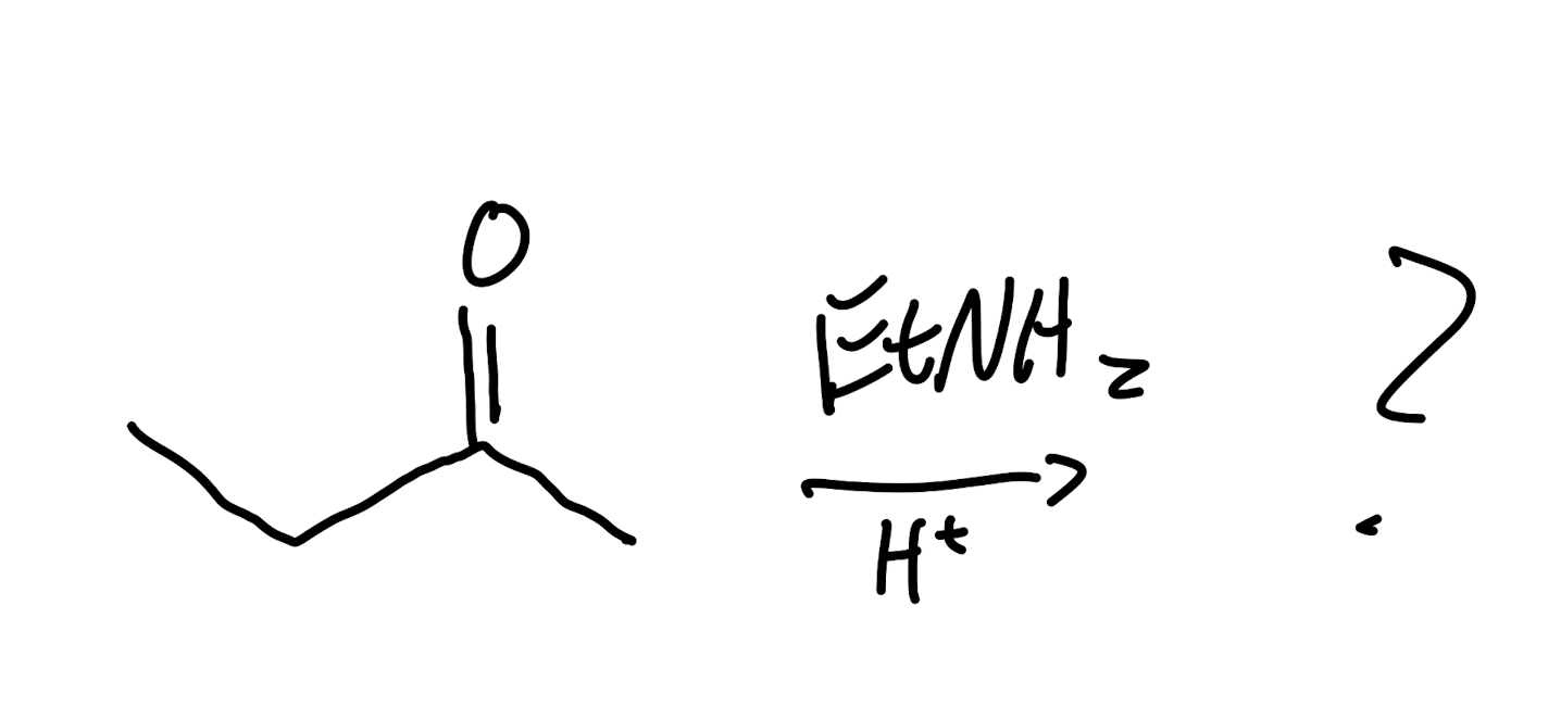 <p>Mechanism (Start of Exam 2 Material)</p>