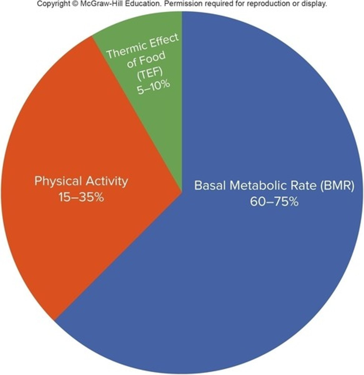 <p>BMR represents the minimal amount of calories needed to sustain life, measured in a waking state with no food or movement.</p>