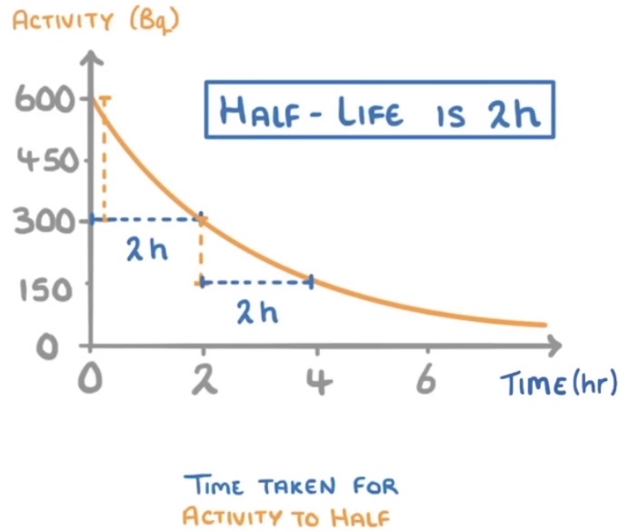 <p>See the time it takes for the activity to halve. See example picture.</p>