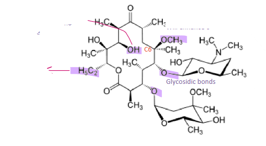 <ul><li><p>best oral absorbed on the macrolides</p></li><li><p>longer half-life than erythromycin (3-4h) and less than azithromycin</p></li><li><p>14-member cyclic ring</p></li><li><p>extensively hepatically metabolized by CYP3A4</p><ul><li><p>also inhibits P450 enzymes, mainly CYP3A4</p></li><li><p>lots of drug interaction</p></li></ul></li></ul>