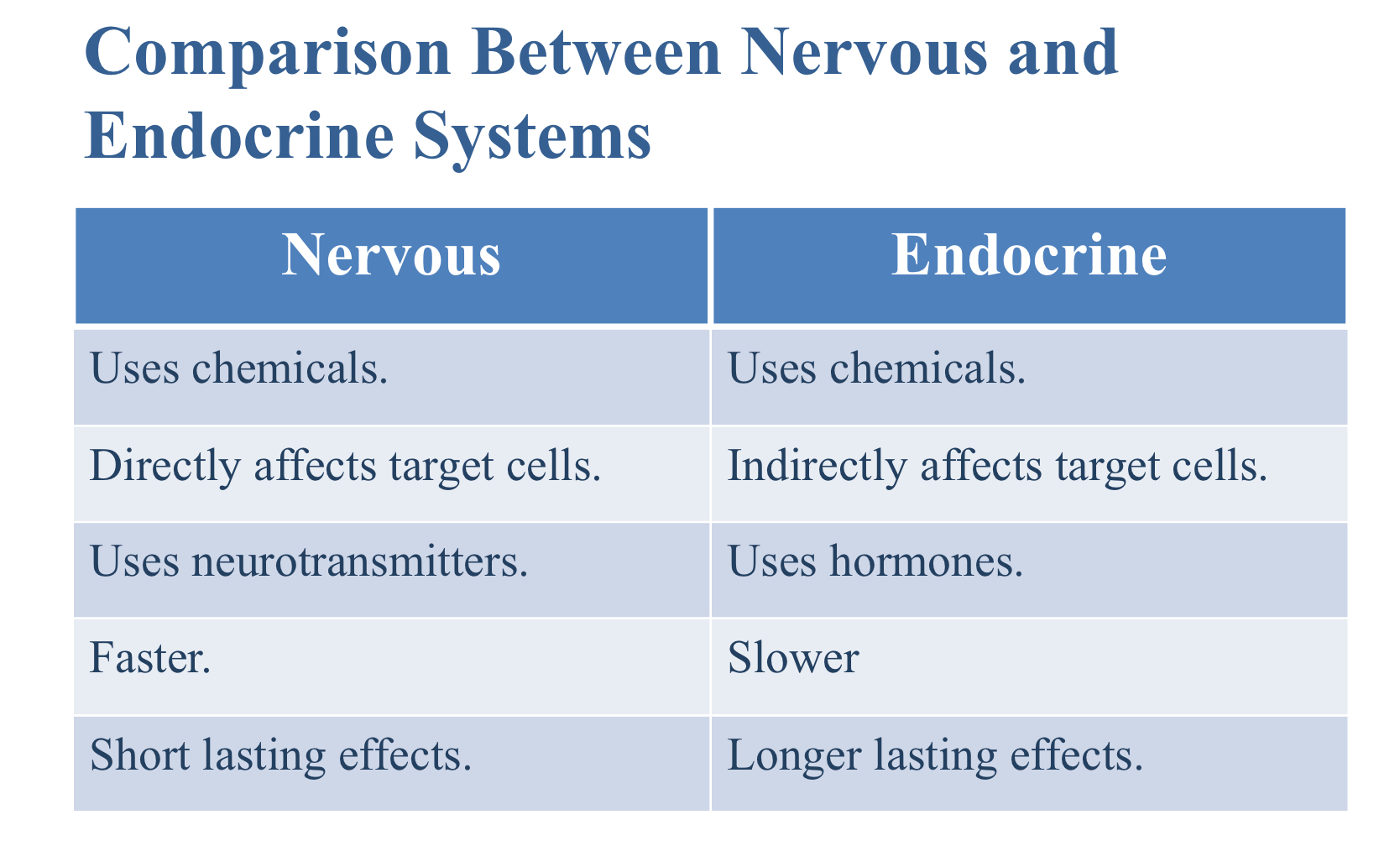 <p>Endocrine system</p>