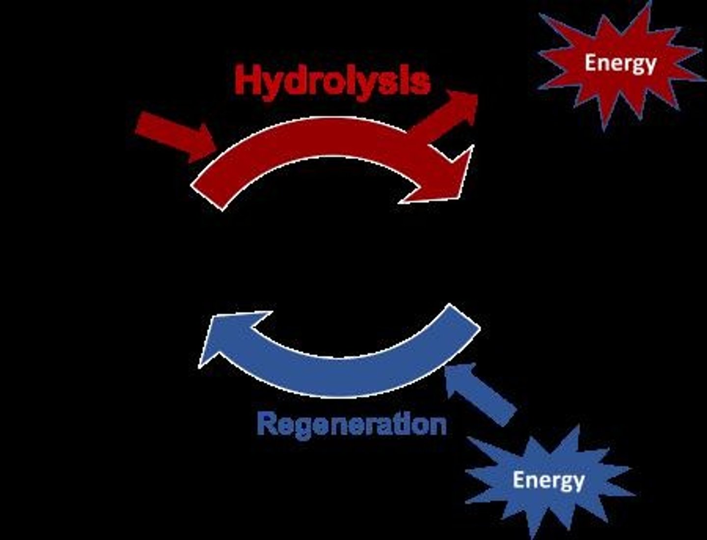 <p>ATP → ADP + Pi + Energy; ΔG = -7.3 kcal/mol.</p>
