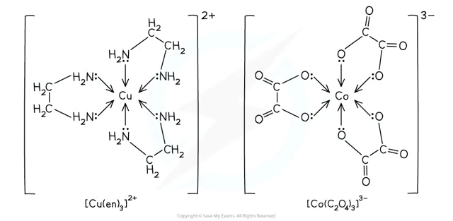 <p><strong>Bidentate Ligands</strong> → Can <strong>form two</strong> dative bonds.</p><ul><li><p>Examples: <strong>1,2-diaminoethane ("en"), Ethanedioate ("ox")</strong>.</p></li></ul><p></p>