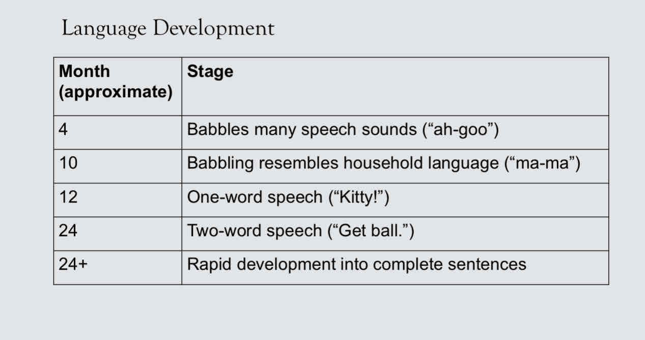 <p>Take time to develop language skills, mostly through exposure</p><p>Children under age 7 have better time learning new language compares to adults</p>