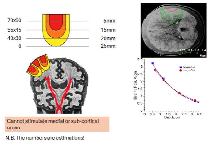 <p>You can only target brain areas that are near the skull. Cannot use it on subcortical brain structures like the amygdala. </p><ul><li><p>Can only stimulate up to 25mm. </p></li></ul><p></p>