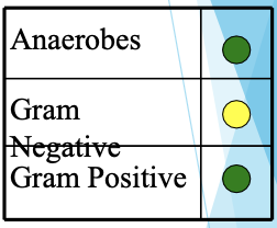 <p>Increase anaerobe coverage and covers MSSA</p><p>Drug of choice: skin/soft tissue, diabetic foot, animal/human bites</p><p>(Augmentin: amox/calv)(Unasyn: amp/sulbact)</p>