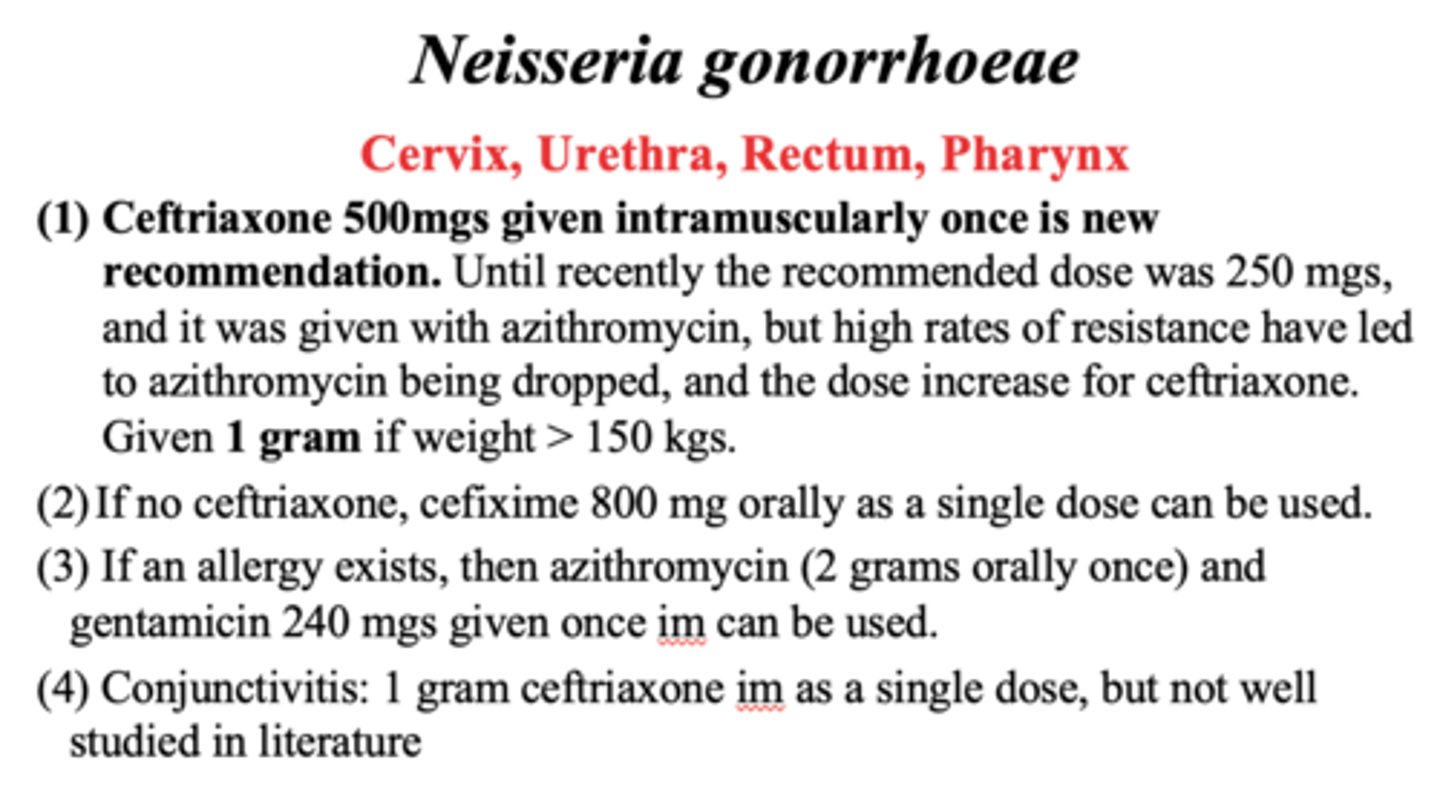 <p>Ceftriaxone 500mg</p>