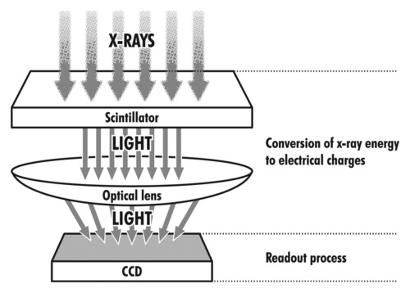 <p>the imaging sensor in a television camera. it consists of horizontal and vertical rows of tiny image-sensing elements, called pixels, that translate the optical image into an electric charge that eventually becomes the video signal.</p>