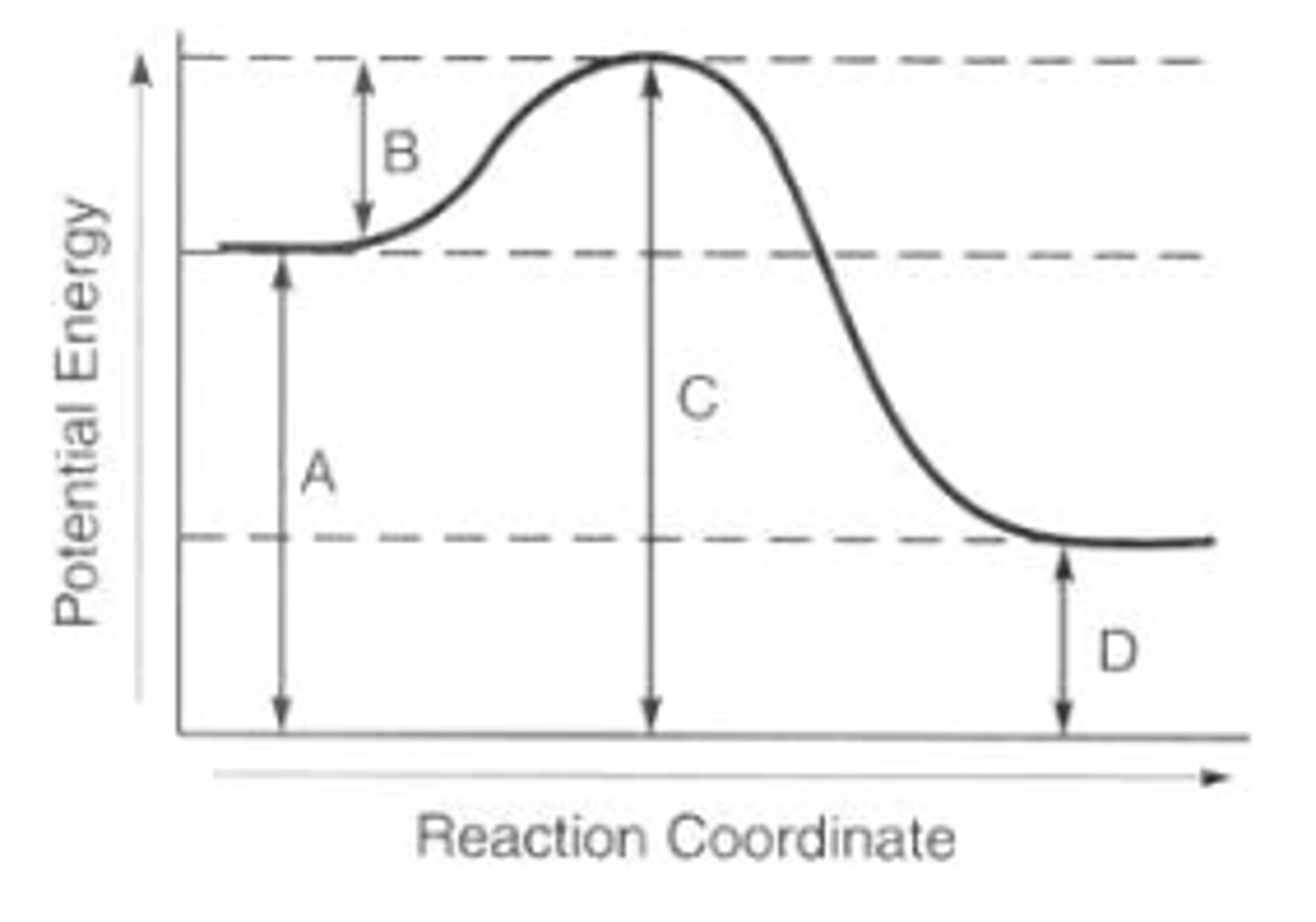 <p>B</p>