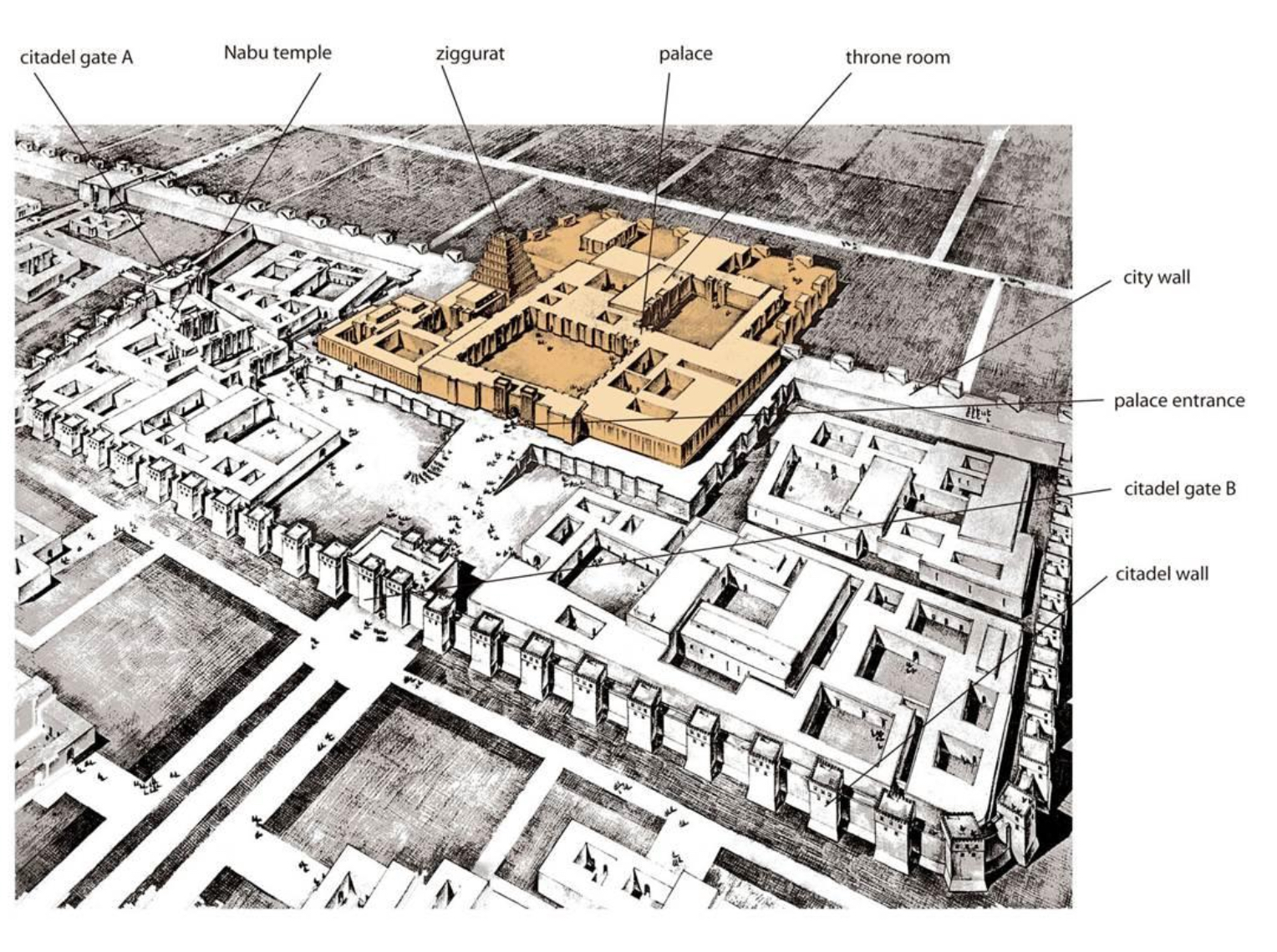 term image