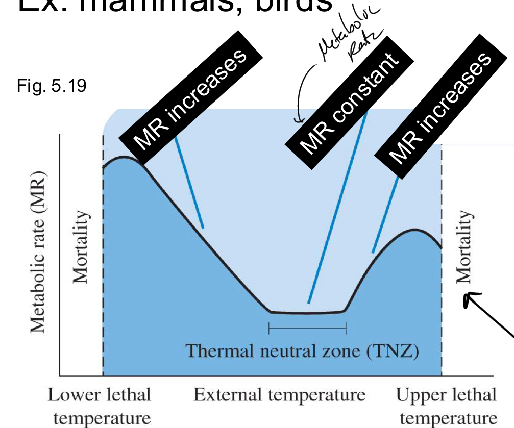 <p>Cold temps = yes</p><p>Hot temps = no</p>