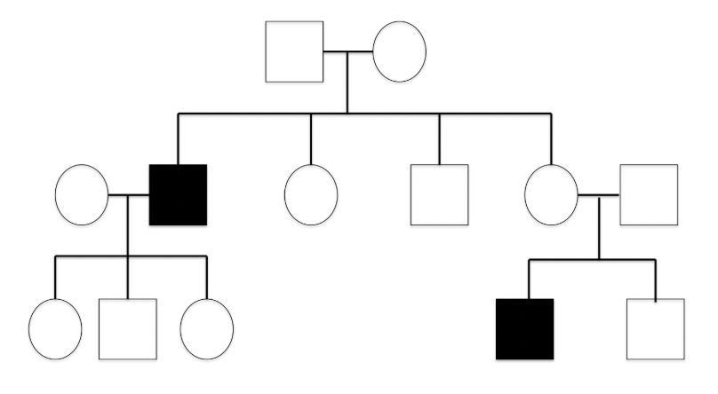 <p>the disease is <strong><em><u>rare</u></em></strong> in the family, more males are affected, the disease often <strong><em><u>skips generations</u></em></strong>, and affected fathers don’t pass on their trait to their sons</p>