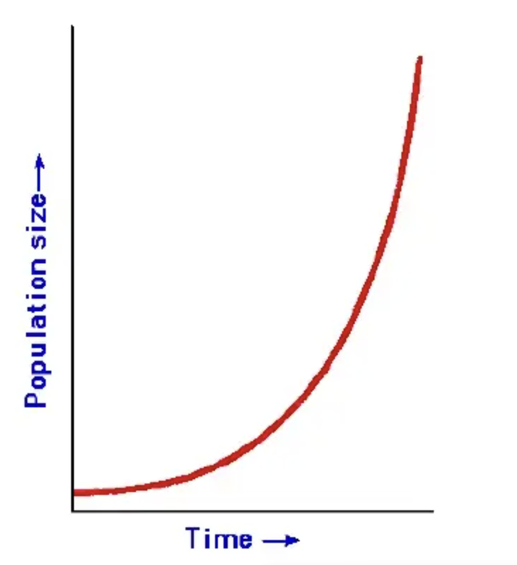 <p>What would happen when there’s no limiting factors?</p>