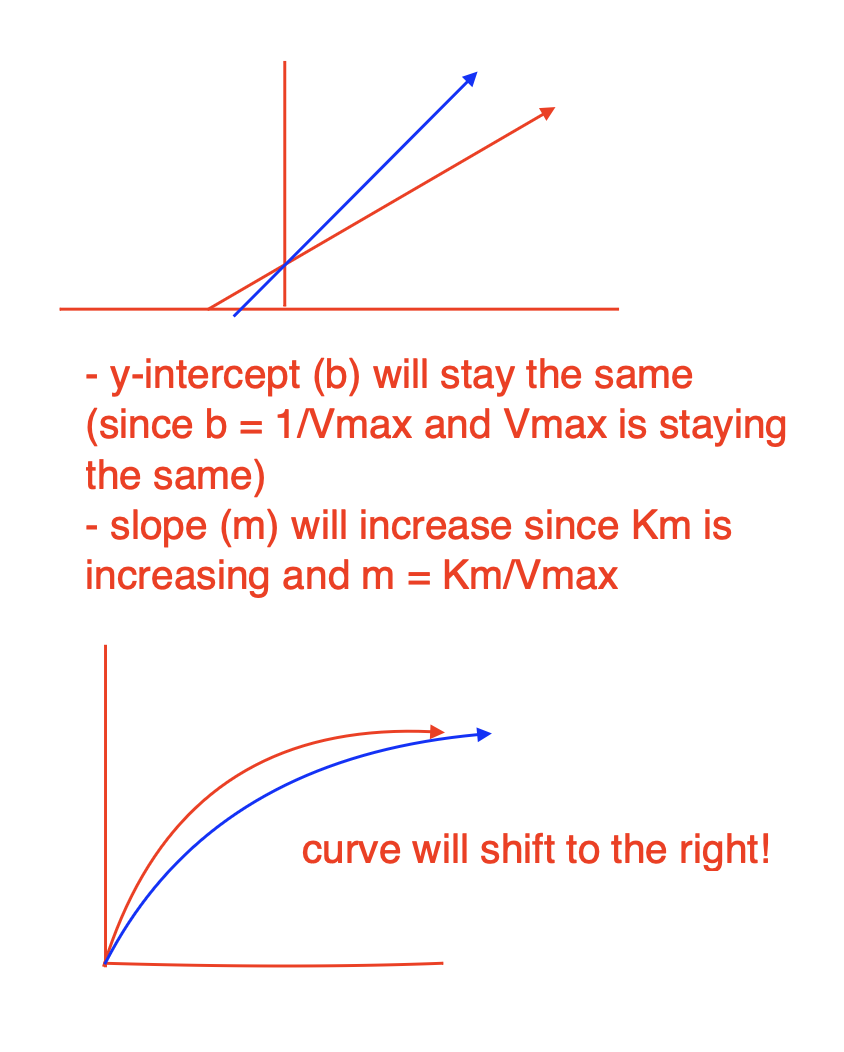 <ul><li><p>Vmax won’t change bc if we introduce more and more substrate eventually the substrate will outcompete the inhibitor</p></li><li><p>Km will increase, Km is the substrate as which v = 1/2 Vmax, we need more substrate to approach 1/2 Vmax</p></li></ul><p></p>