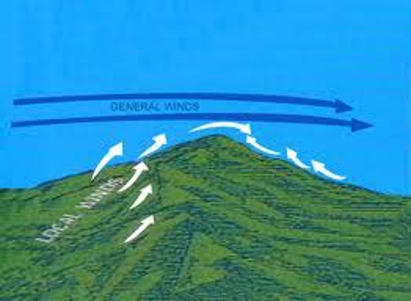 <p>winds that blow over short distances</p>