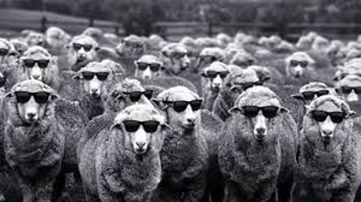 <p>(B) Conformity</p><p>Conformity is known colloquially as "peer pressure" and is the tendency for individuals to bring their behavior in line with group norms. Jakob is conforming to be like his new group of friends.</p>