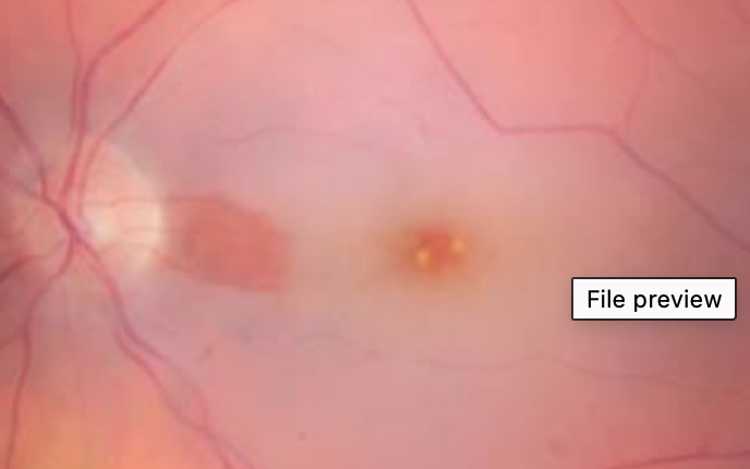 <p>what this and how do you know</p>