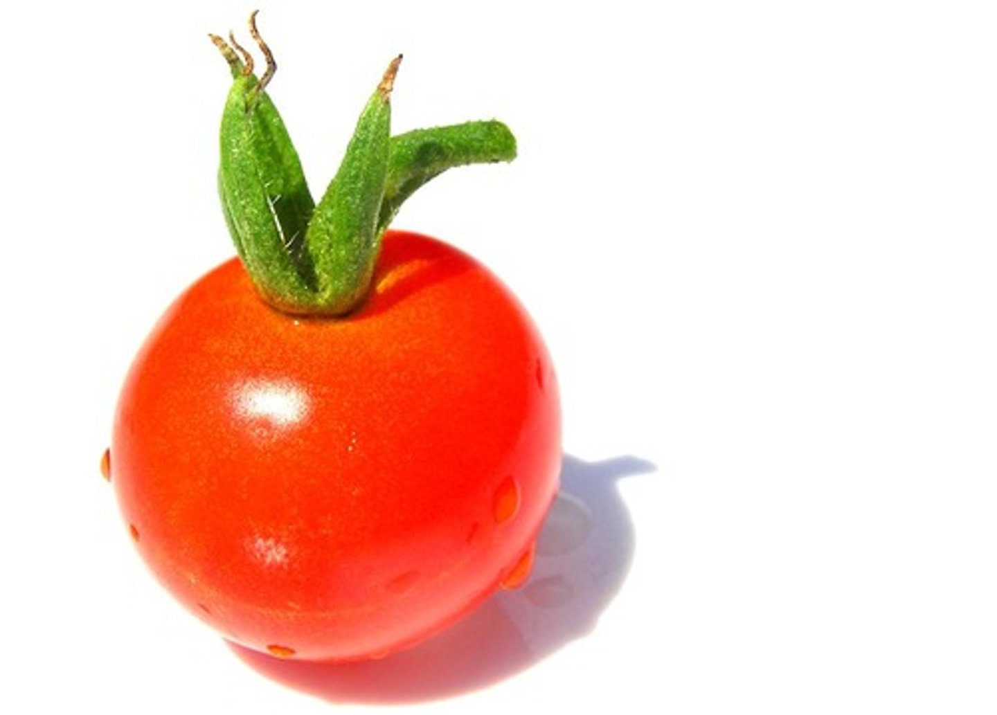 <p>tomato</p>