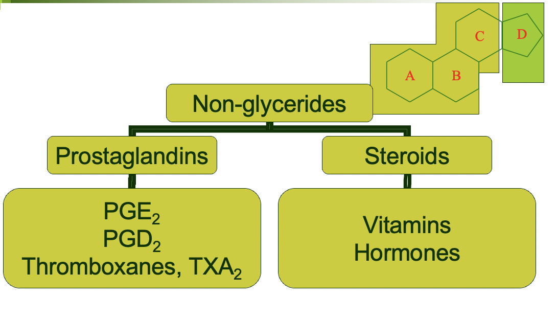 *Non-glycerides* - **steroids**