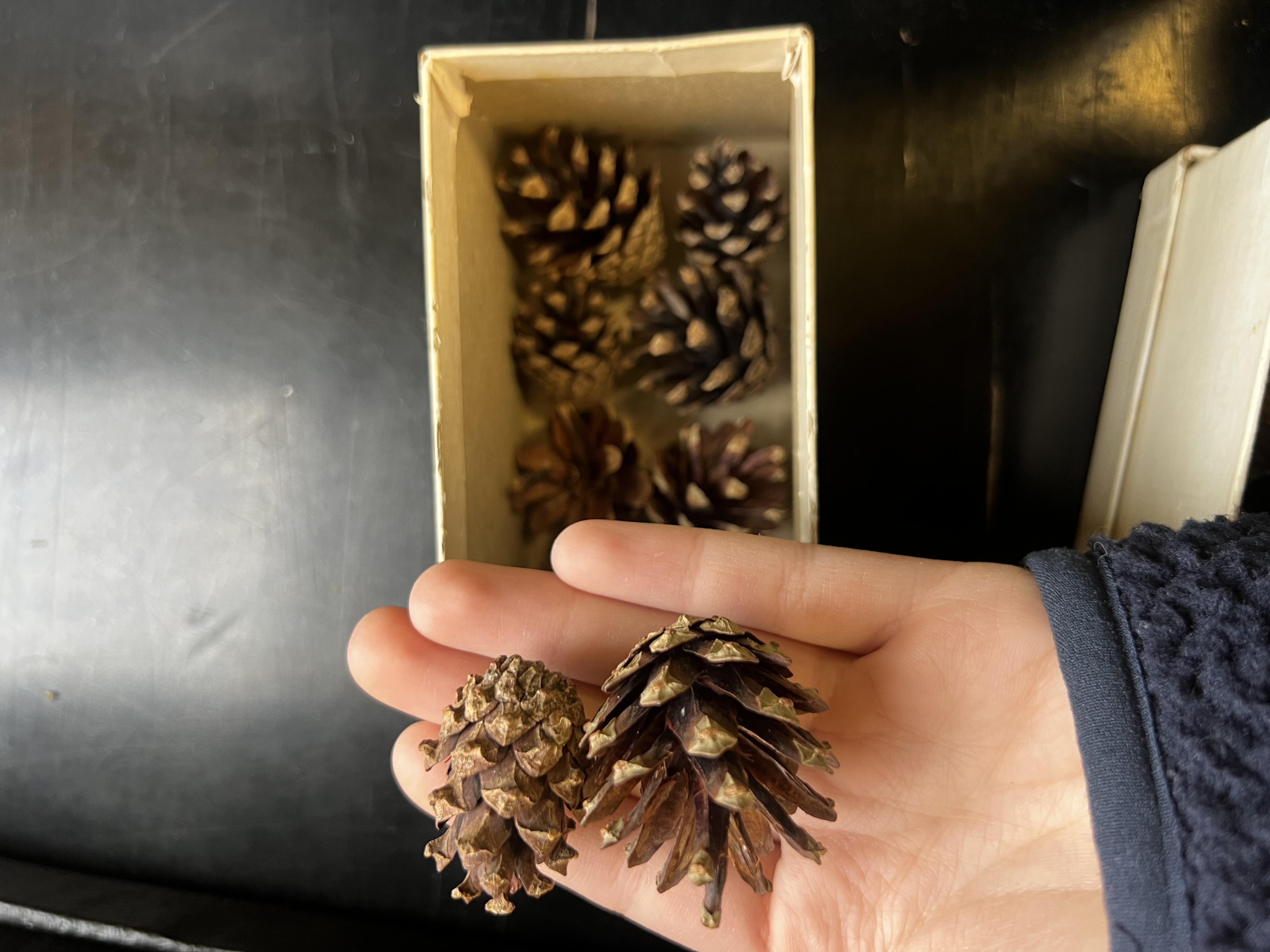 knowt flashcard image