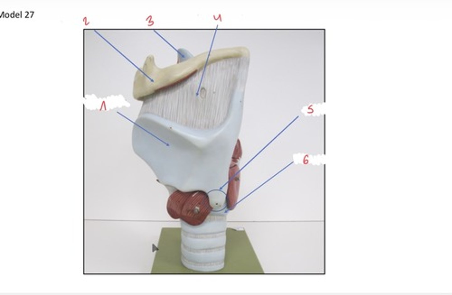 <p>Wat wordt er aangeduid met 4</p>