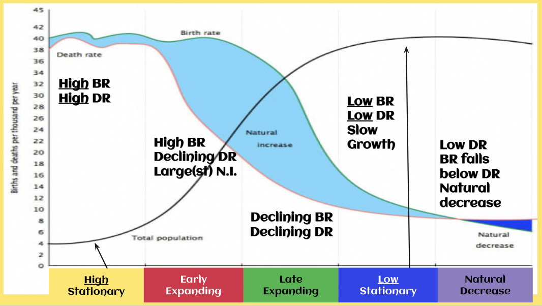 <p>Demographic Transition Model (DTM)</p>