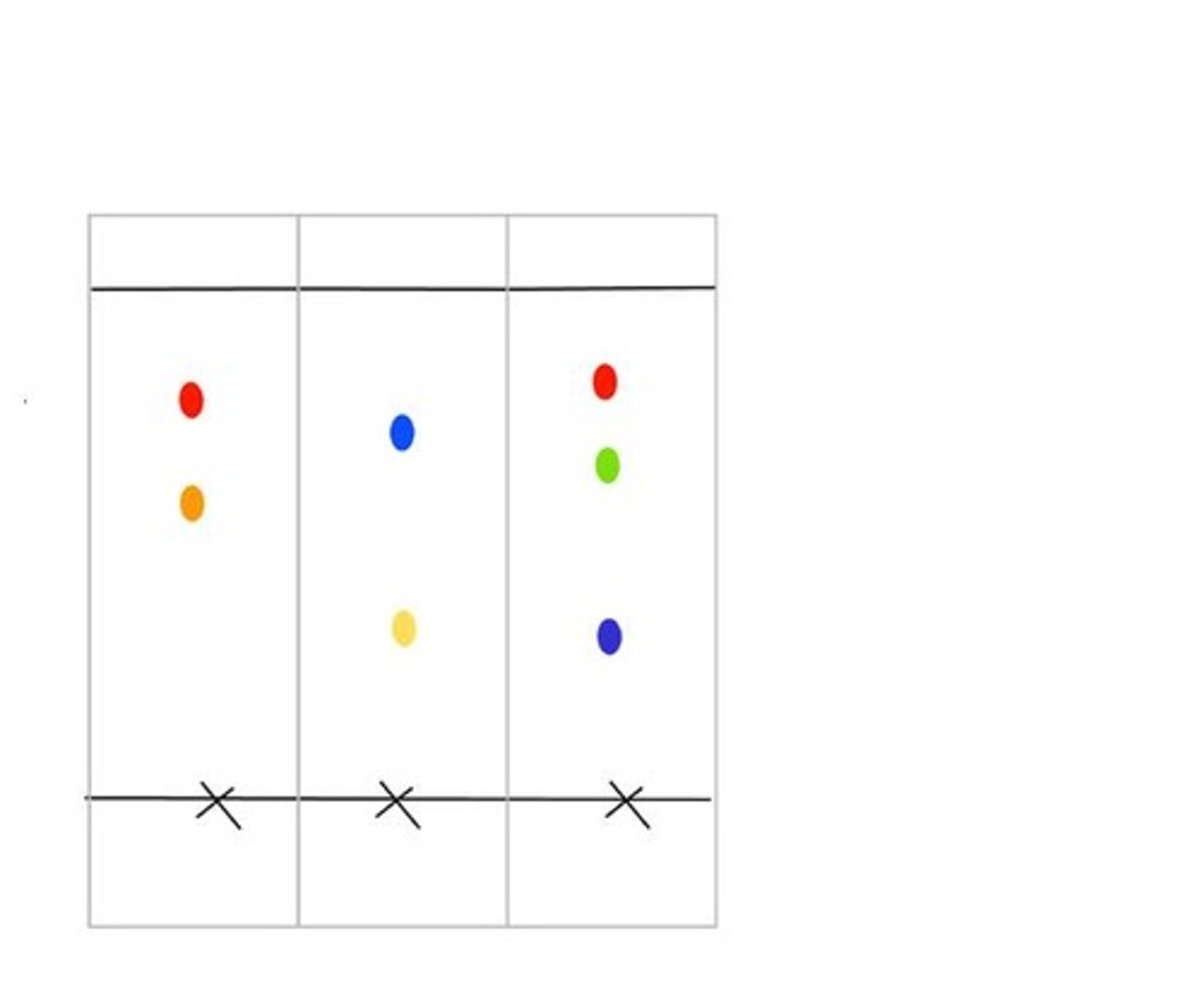 <p>The chromatography strip at the end of the experiment</p>