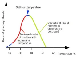 <p>Describe this image</p>