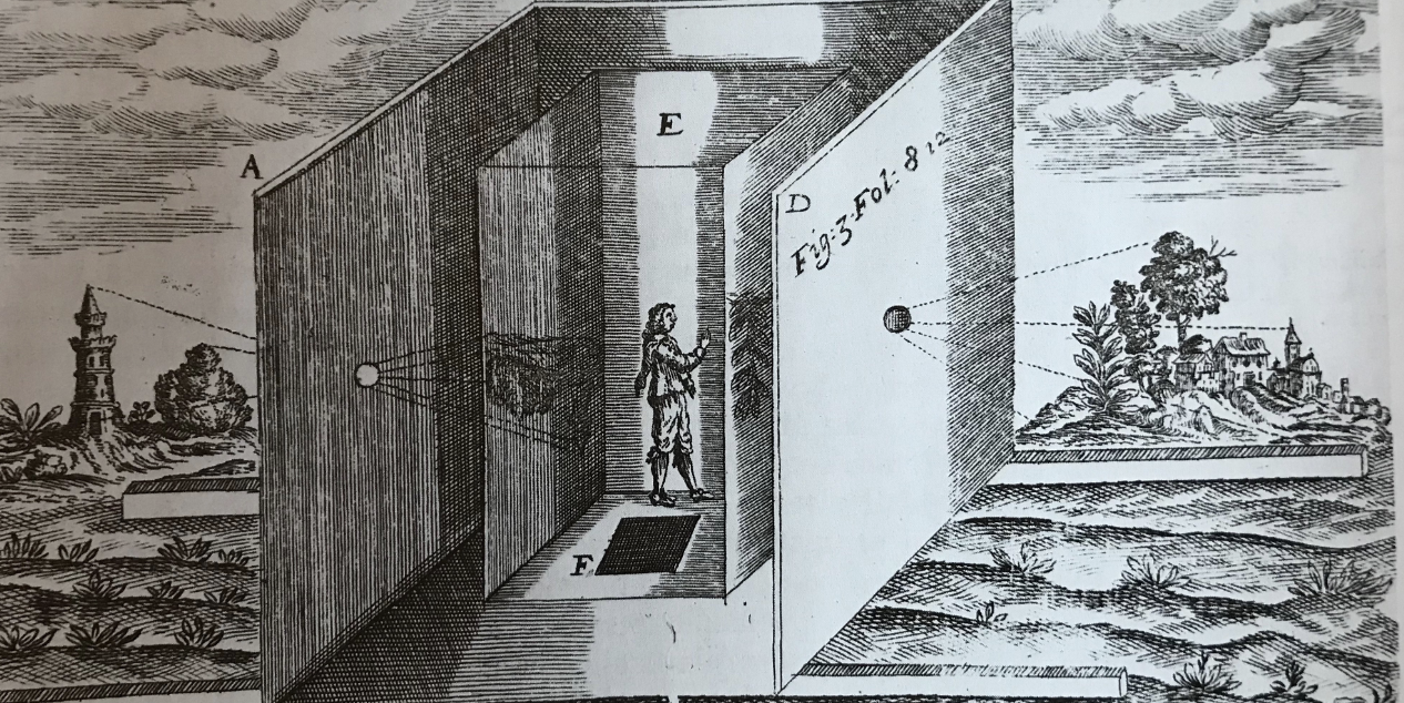 term image