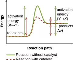 <p>The energy needed to form or break chemical bonds and convert reactants to products.</p>