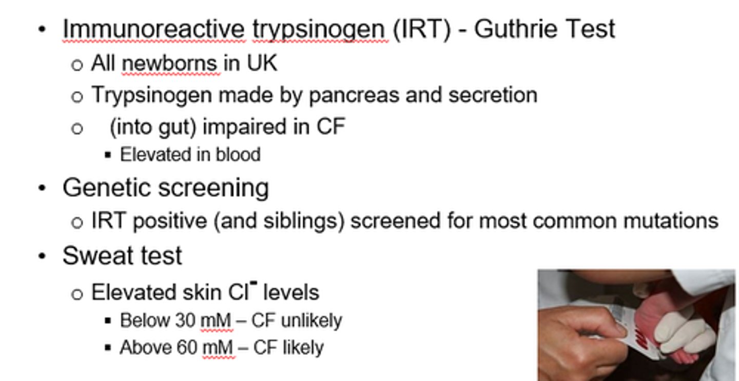 <p>- Trypsinogen made by pancreas.</p><p>- Secretion into gut impaired in CF.</p><p>- So trypsinogen elevated in blood.</p>