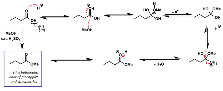 <p>don’t forget sulfuric acid catalyst</p>