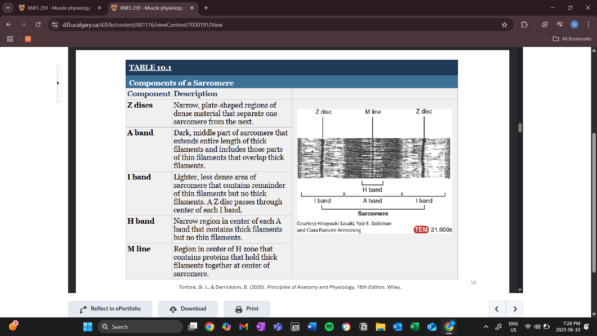 knowt flashcard image
