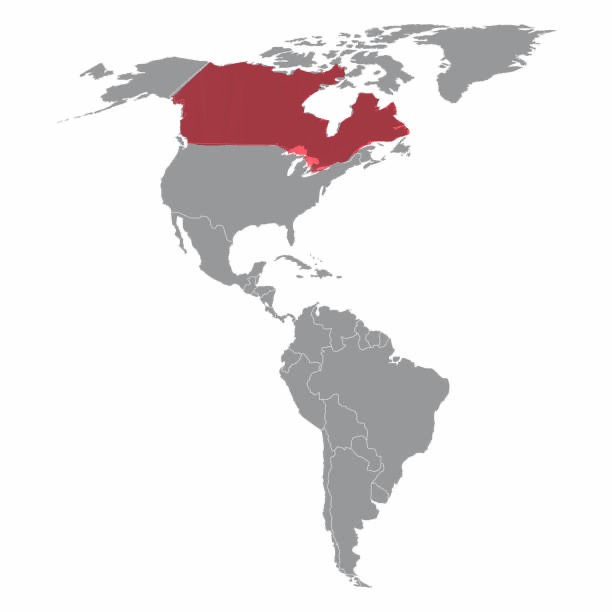 <p>Country highlighted in picture? </p>