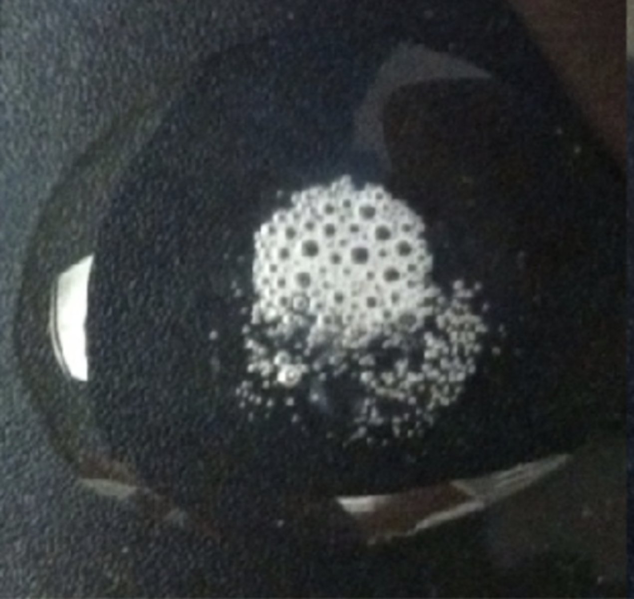 <p>-produces the enzyme catalase</p><p>-aerobe / facultative anaerobe</p><p>-staphylococcus epidermis</p><p>-foams bubbles of O2</p>