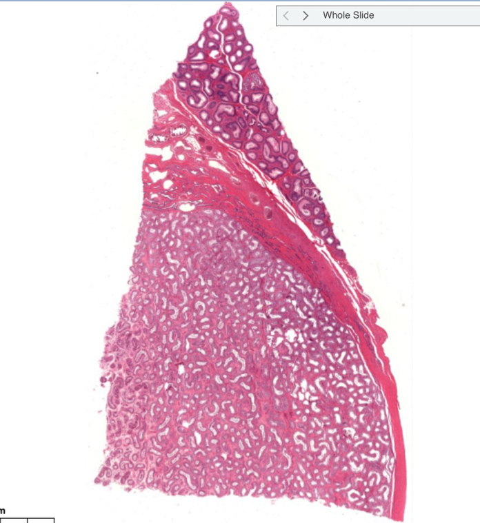 <p>What is this?</p>