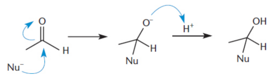 <p>The nucleophile attacks the carbonyl carbon, opening the carbonyl. The carbonyl cannot reform because there is no good leaving group; thus, the O– is protonated to generate an alcohol</p>