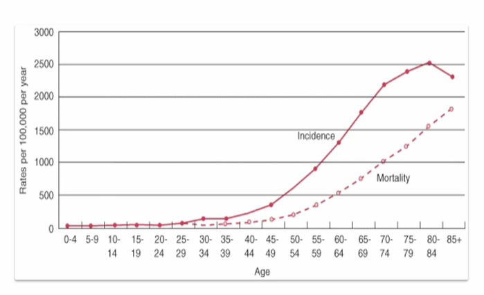 <ul><li><p>above 20 it starts to increase</p></li><li><p>this is as we have an ageing population</p></li><li><p>increases rapidly after 45</p></li><li><p>of course, mortality will also increase with age, as higher cases</p></li></ul><p></p>