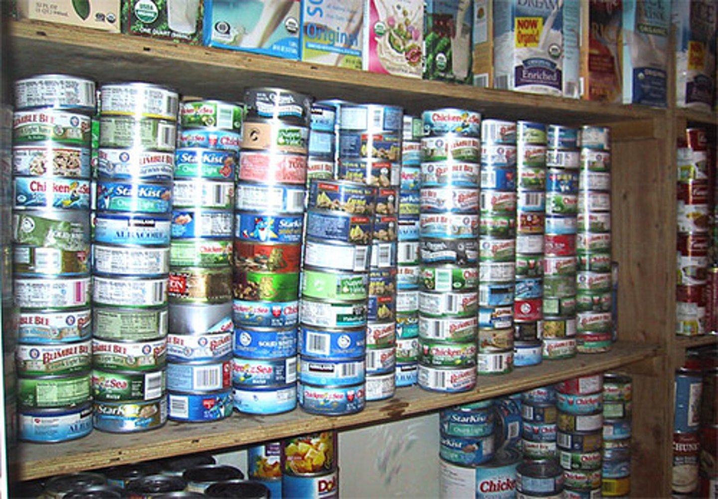 <p>tuna</p>