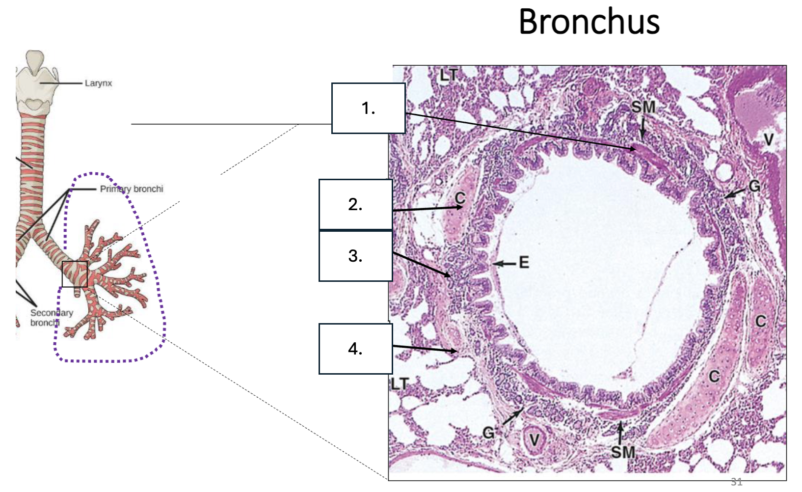 <p>What is number 1?</p>