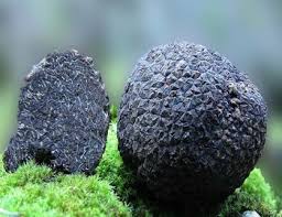 <p>What is this?</p>