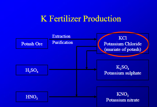<ul><li><p>extract and purify potassium into KCL, then react it woth H2SO4 to make potasisum suphate, react with HNO3 to become KNO3</p></li></ul><p></p>