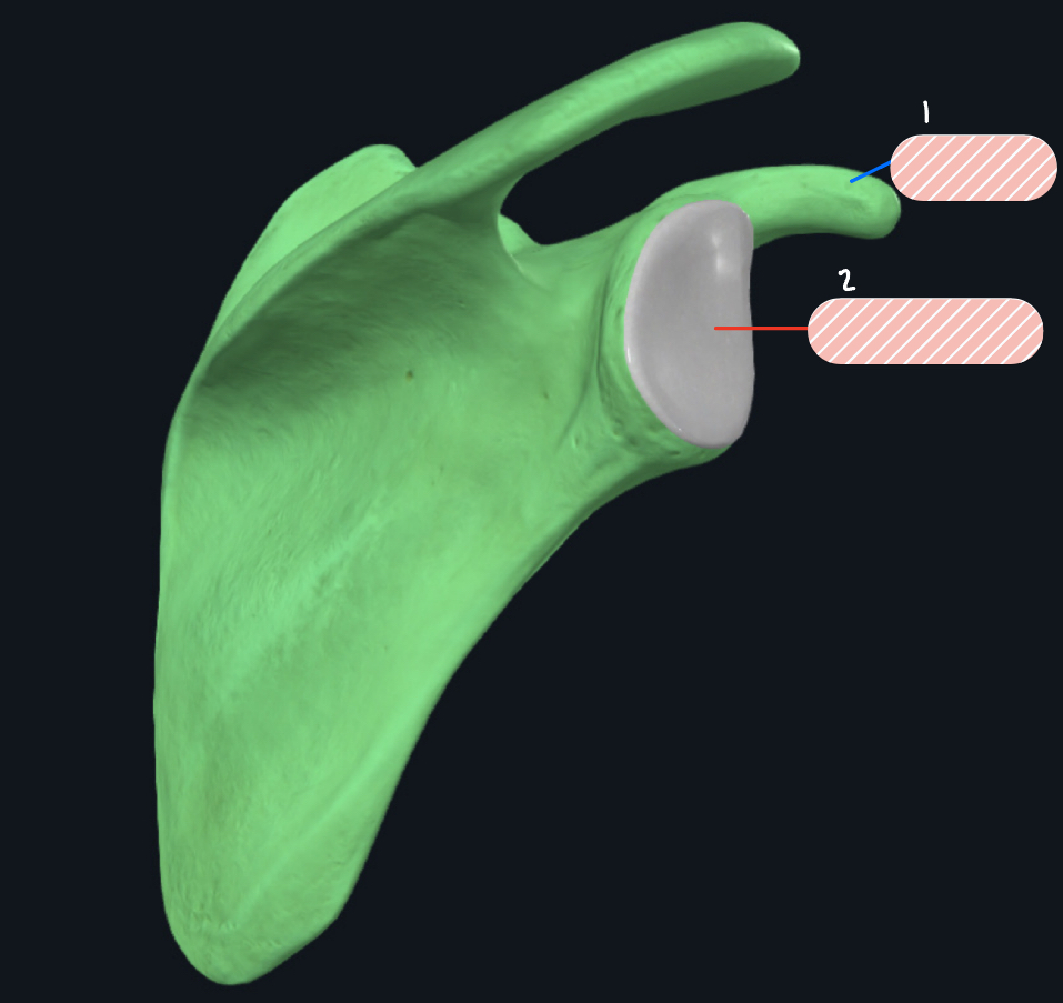 <p>What view is this in?</p>