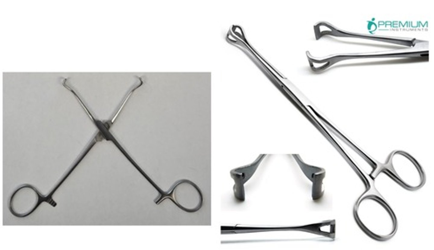 <p>Name this instrument. Spelling counts.</p>