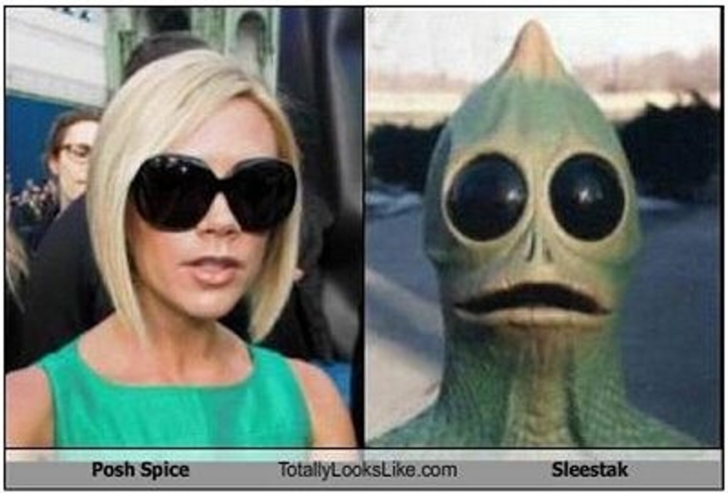 <p>(n.) a grotesque or grossly inferior imitation; a disguise, especially the clothing of the opposite sex; (v.) to ridicule by imitating in a broad or burlesque fashion</p>