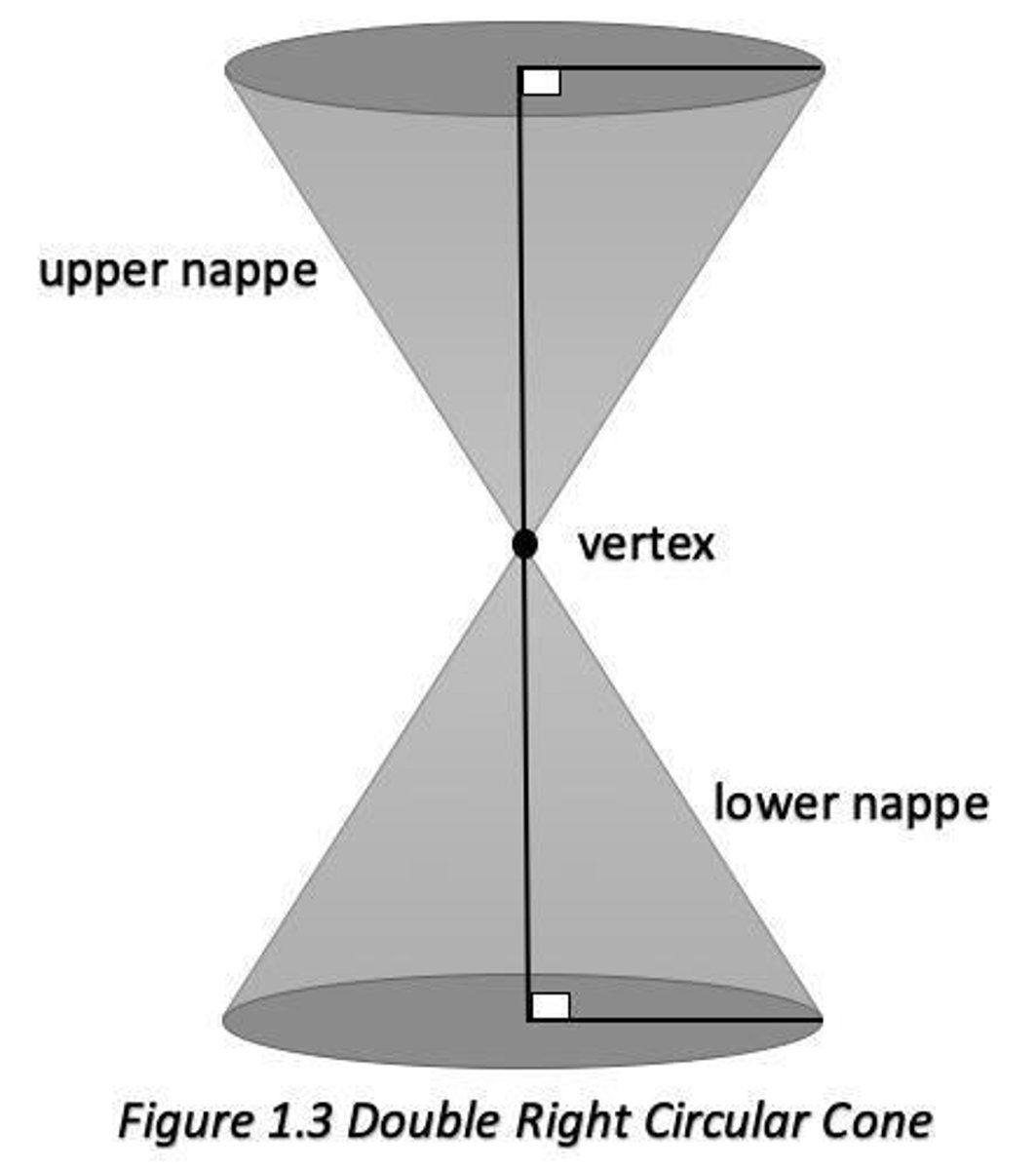 <p>generators of a cone pass through the intersection of the two parts</p>