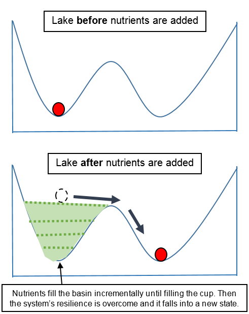 <p>A large, persistent change in an ecosystem’s structure and function, moving it from one stable state to another </p>